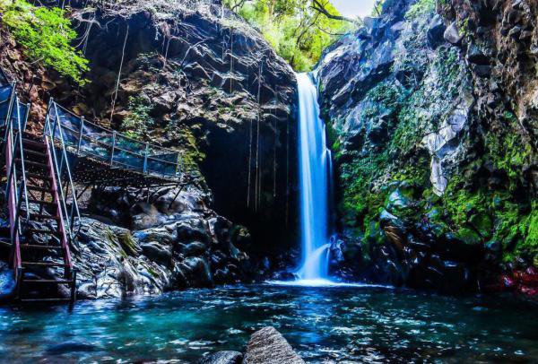 Things To Do https://vacationrentalsoftamarindo.icnd-cdn.com/images/thingstodo/Oropendula.jpg