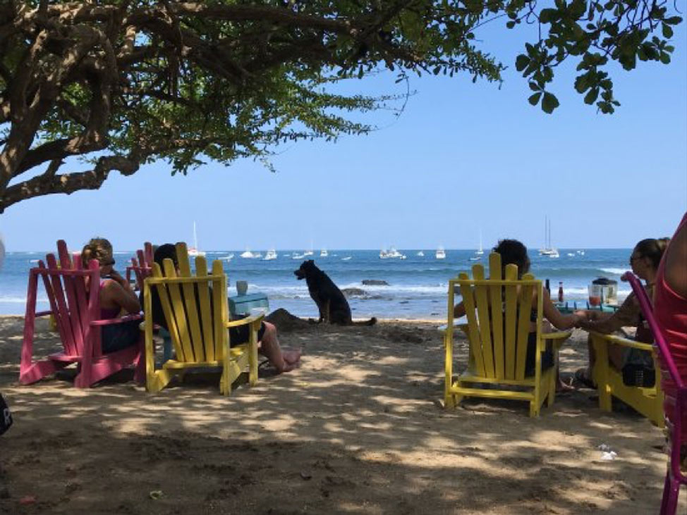 best restaurants in Tamarindo