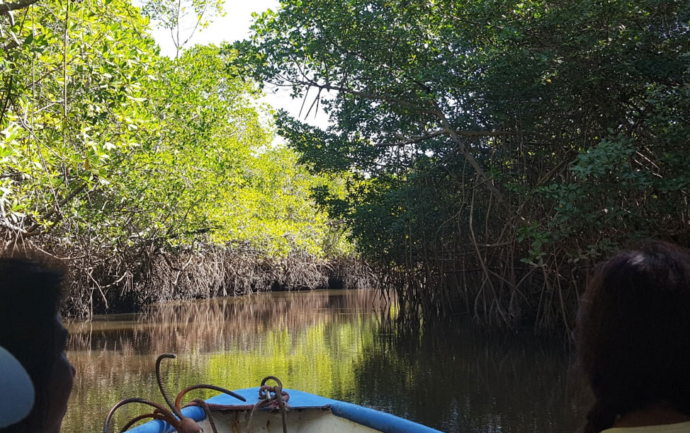 tamarindo estuary
